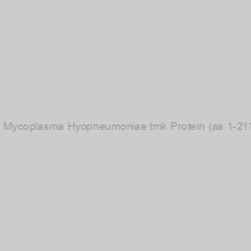 Image of Recombinant Mycoplasma Hyopneumoniae tmk Protein (aa 1-211) (strain 232)